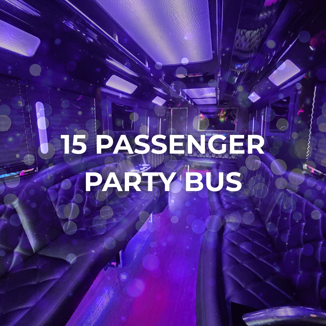 15 Passenger Party Bus