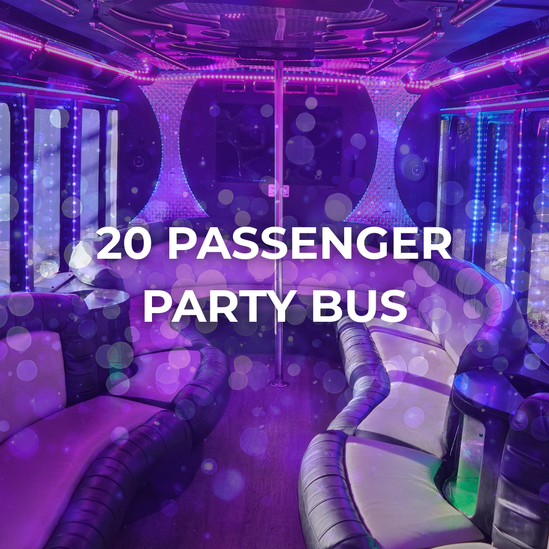 20 Passenger Party Bus