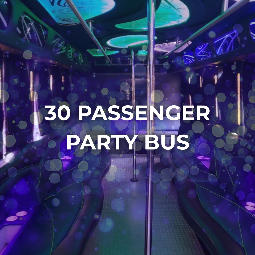 30 Passenger Party Bus