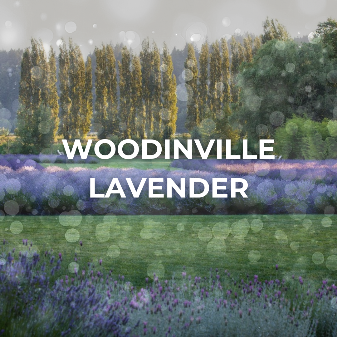 Woodinville Lavender