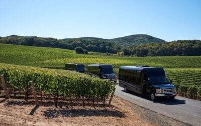 Vineyards in Washington State: Luxury Wine Tours by Bus