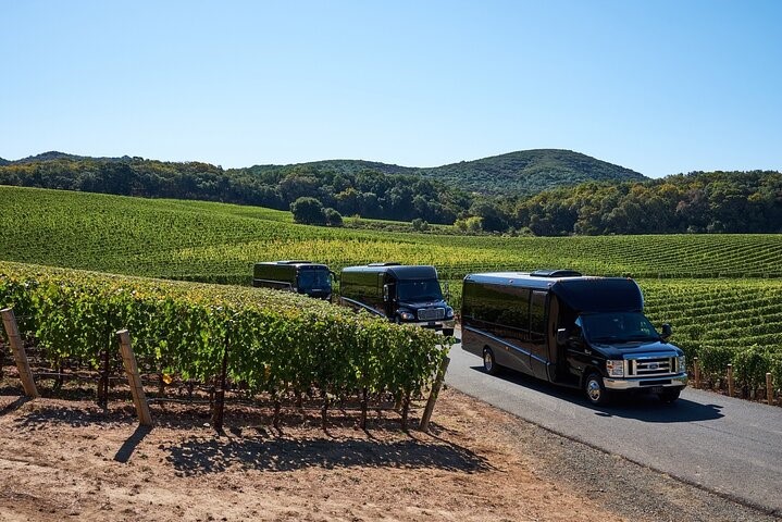 Vineyards in Washington State: Luxury Wine Tours by Bus