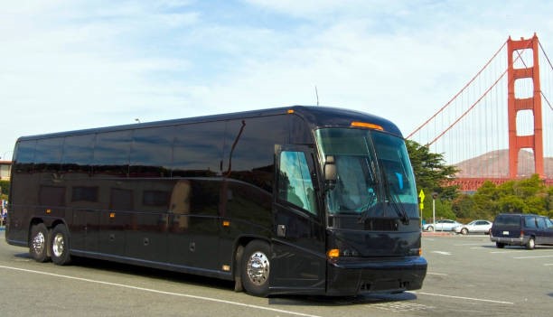 Charter Bus Cost: Affordable Group Transportation Options