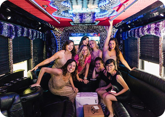image 21 (1) party bus themes