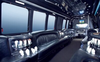 Why a Party Bus for 15 People is the Sweet Spot for Group Luxury